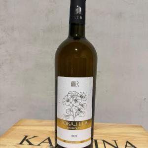 Tokaj ELA barriques (2023)